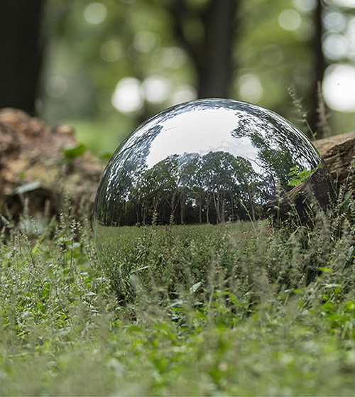 トロフィー画像